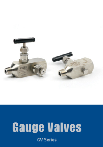 LOK manometricke ventily rozdelovace LOK twin ferrule gauge valves manifolds